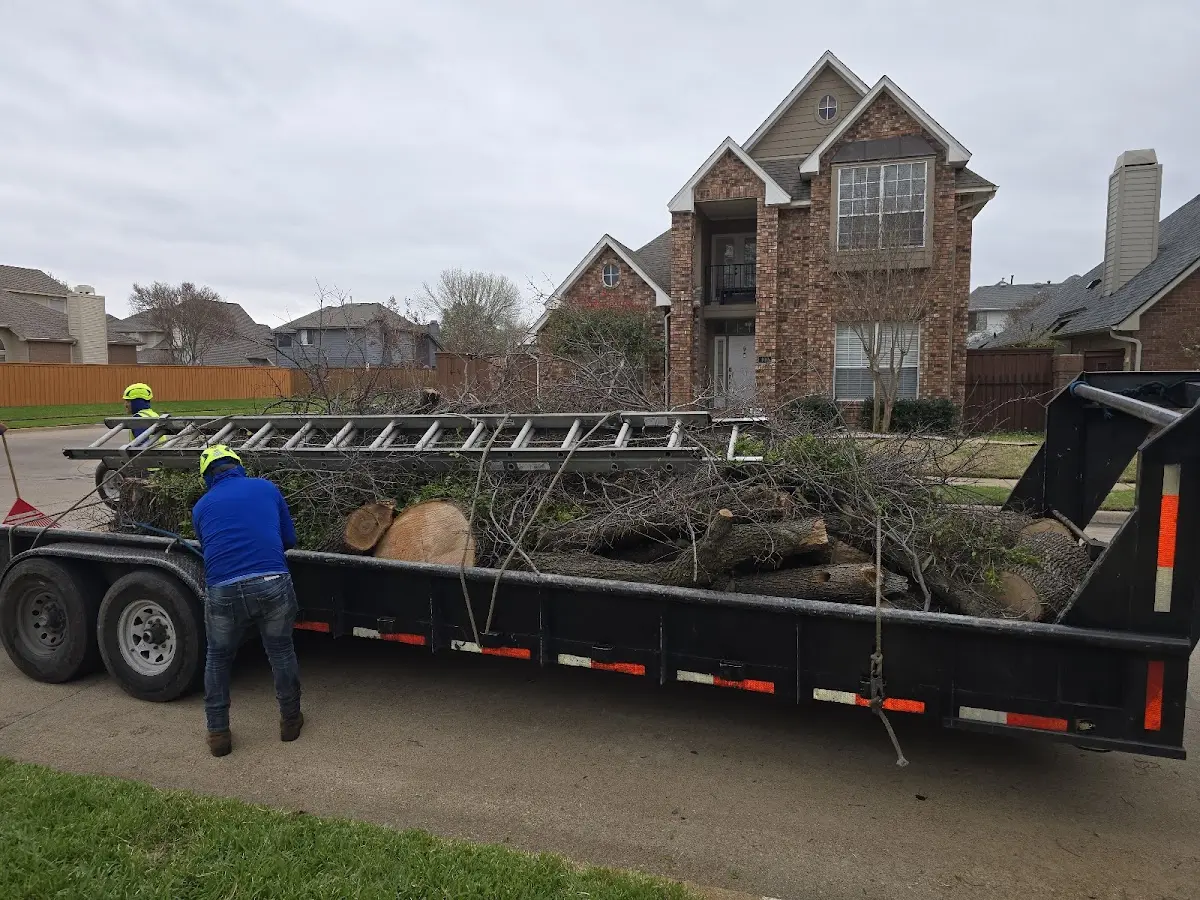 Expert Tree Pest Control with proper safety equipment in Potwin